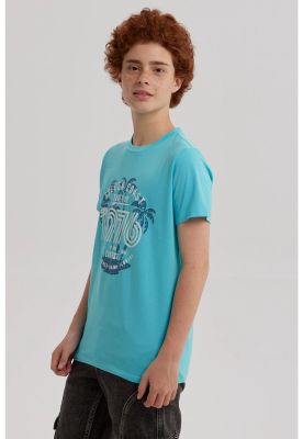 Imagen 2 del producto Polera Niño Básica Estampada Calipso