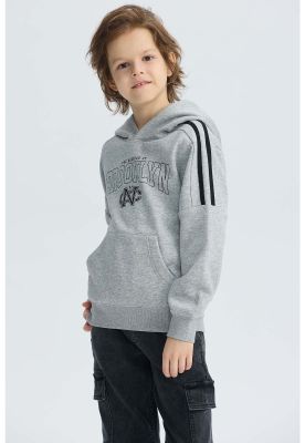 Imagen 2 del producto Polerón Niño Básico Print Gris Melange - ll