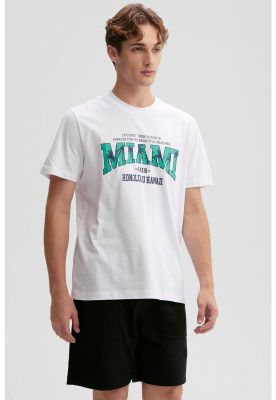 Imagen 2 del producto Polera Hombre Print Posicional Blanco - lV