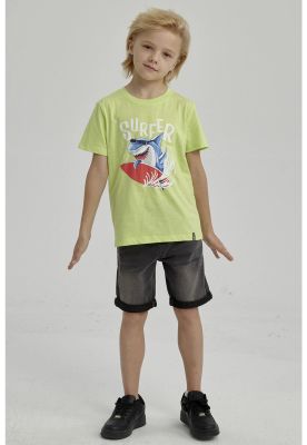 Imagen 2 del producto Polera Niño Básica Estampada Verde - ll