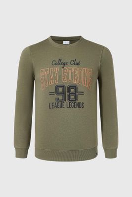 Polerón Niño Básico Con Print Verde