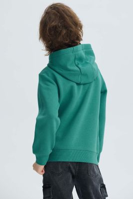 Imagen 2 del producto Polerón Niño Básico Print Verde