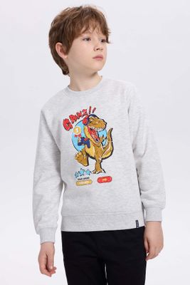 Imagen 1 del producto Polerón Niño Básico Print Gris Melange Claro