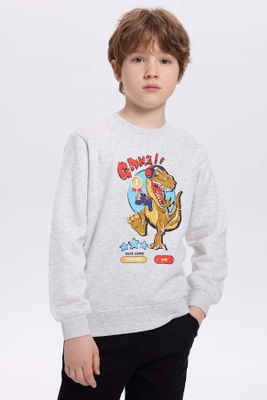 Imagen 2 del producto Polerón Niño Básico Print Gris Melange Claro