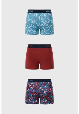 Imagen 2 del producto Bóxer Hombre Tripack Liso Burdeo - ll