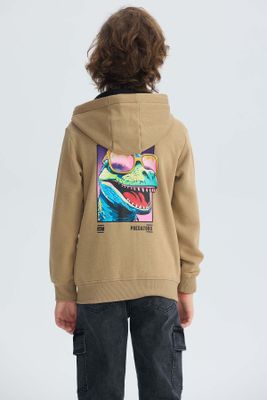 Imagen 2 del producto Polerón Niño Print Posicional Kaki