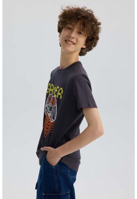 Imagen 2 del producto Polera Niño Básica Estampada Marengo - ll