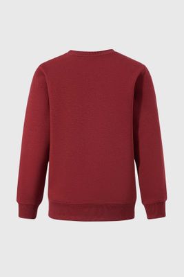 Imagen 2 del producto Polerón Niño Básico Con Print Rojo