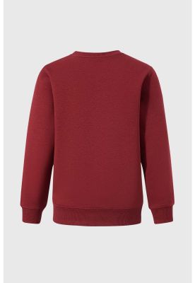 Imagen 2 del producto Polerón Niño Básico Con Print Rojo - lll