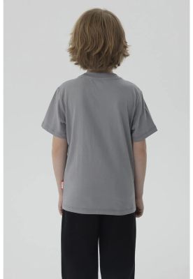 Imagen 2 del producto Polera Niño Hulk Gris