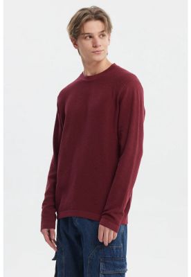Imagen 2 del producto Sweater Hombre Slim Juvenil Burdeo