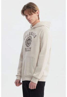 Imagen 2 del producto Polerón Hombre College Grafitti Beige