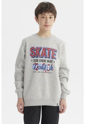 Imagen 2 del producto Polerón Niño Básico Teen Gris Melange