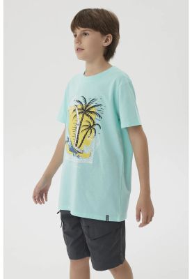Imagen 2 del producto Polera Niño Básica Estampada Menta
