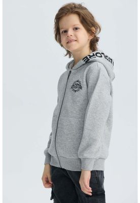 Imagen 2 del producto Polerón Niño Con Cierre Gris Melange