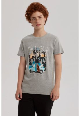 Imagen 1 del producto Polera Niño Bordado Gris Melange