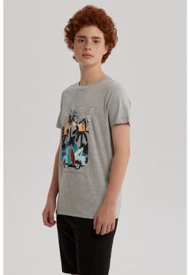 Imagen 2 del producto Polera Niño Bordado Gris Melange