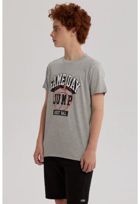 Imagen 2 del producto Polera Niño Básica Estampada Gris Melange l