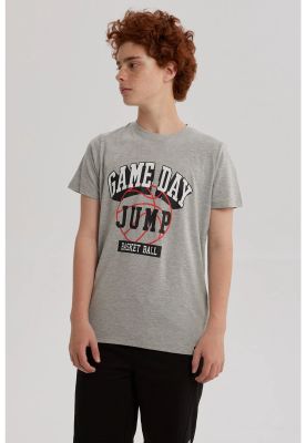 Polera Niño Básica Estampada Gris Melange - lll