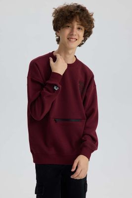 Imagen 2 del producto Polerón Niño Cerrado Con Cierre Burdeo