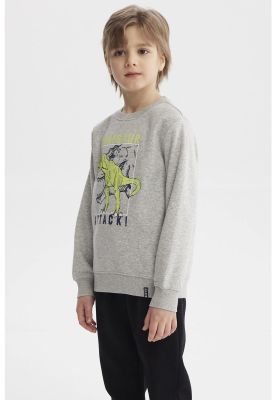 Imagen 2 del producto Polerón Niño Básico Toddler Gris Melange