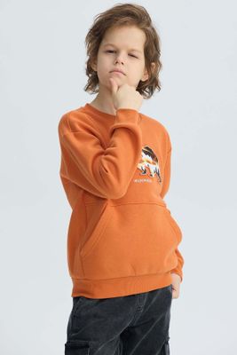 Imagen 2 del producto Polerón Niño Cerrado Con Relieve Naranjo