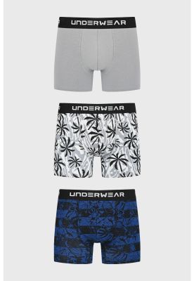 Imagen 1 del producto Bóxer Hombre Tripack Liso Gris - lll