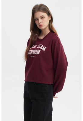 Imagen 2 del producto Polerón Mujer Crop Nuevo Rojo