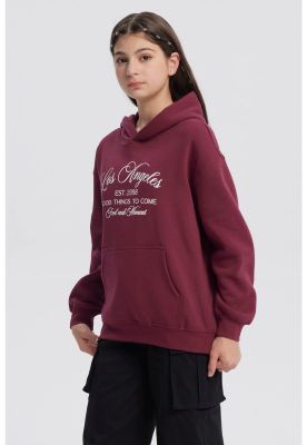 Imagen 2 del producto Polerón Niña Cuello Camisero Burdeo