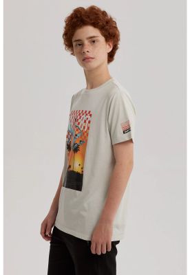 Imagen 2 del producto Polera Niño Print Posicional Gris - ll