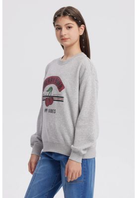 Imagen 2 del producto Polerón Niña Básico Print Gris Melange