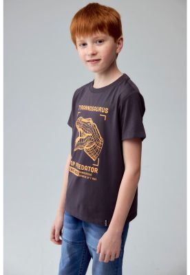 Imagen 2 del producto Polera Niño Básica Estampada Marengo