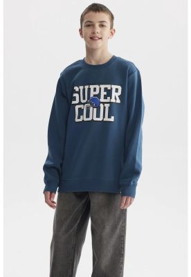 Imagen 1 del producto Polerón Niño Básico Teen Petroleo