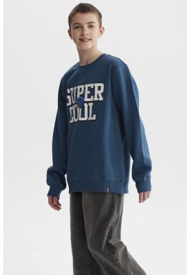 Imagen 2 del producto Polerón Niño Básico Teen Petroleo