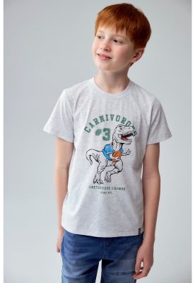 Polera Niño Básica Estampada Gris Melange Claro