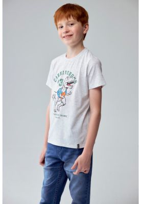 Imagen 2 del producto Polera Niño Básica Estampada Gris Melange Claro