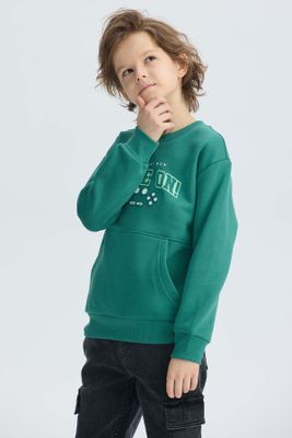 Imagen 2 del producto Polerón Niño Cerrado Con Relieve Verde