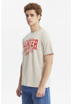 Imagen 2 del producto Polera Hombre Oversize Beige - Vll