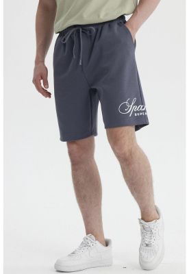 Imagen 2 del producto Bermuda Hombre Calce Recto Gris- ll