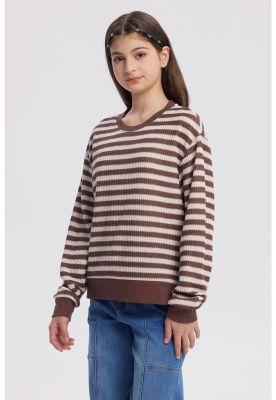 Imagen 2 del producto Polerón Niña Cuello Redondo Café