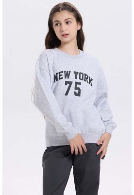 Imagen 2 del producto Polerón Niña Print Básico Gris Melange