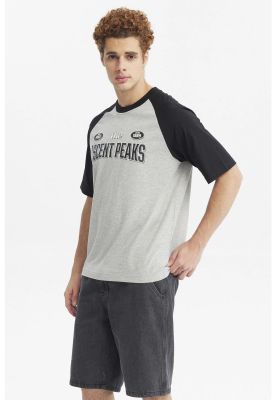 Imagen 2 del producto Polera Hombre Slim Gris Melange - ll