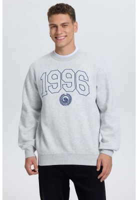 Imagen 2 del producto Polerón Hombre Bordado Gris