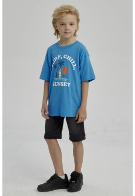 Imagen 2 del producto Polera Niño Con Print Azul Claro