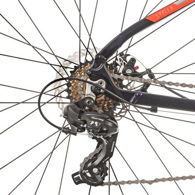 Imagen 2 del producto Bicicleta Sunpeed Stella