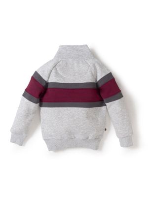 Imagen 2 del producto Poleron Niño Andino Gris