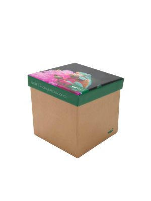 Calcetin Bambú Mujer Pack Gift Fro Multicolor