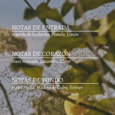 Imagen 2 del producto Perfume Unisex Pomelo Riubarbo EDT 50 ml LOccitane