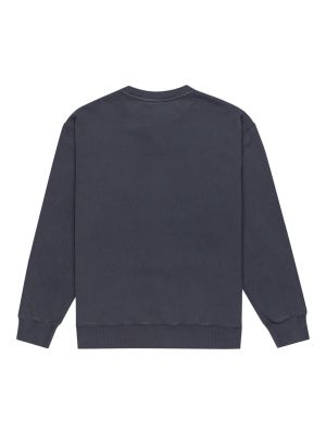 Imagen 2 del producto Polerón Hombre Cornell 3.0 Azul