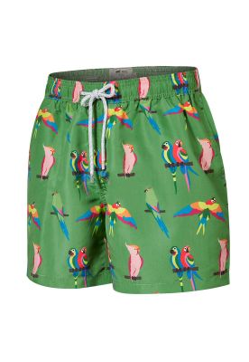 Imagen 1 del producto traje de baño Verde Izam Hombre